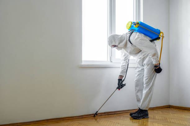 Best Pest Prevention Services  in Berlin, OH