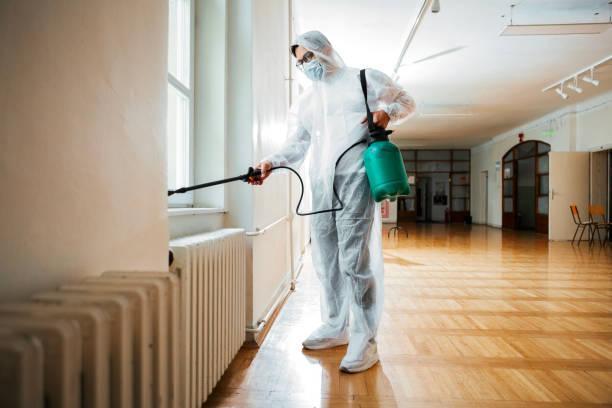 Reliable Berlin, OH Pest Control Solutions